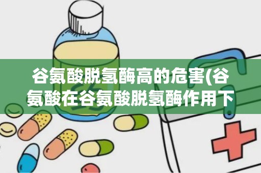 谷氨酸脱氢酶高的危害(谷氨酸在谷氨酸脱氢酶作用下生成什么)