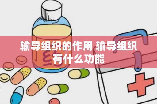 输导组织的作用 输导组织有什么功能