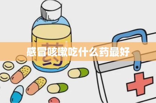 感冒咳嗽吃什么药最好