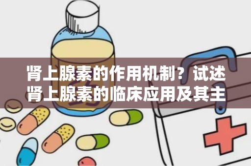 肾上腺素的作用机制？试述肾上腺素的临床应用及其主要作用机制