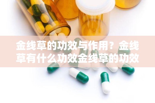 金线草的功效与作用？金线草有什么功效金线草的功效与作用