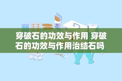 穿破石的功效与作用 穿破石的功效与作用治结石吗 穿破石泡水喝可以保肝吗