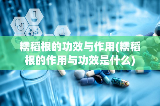 糯稻根的功效与作用(糯稻根的作用与功效是什么)