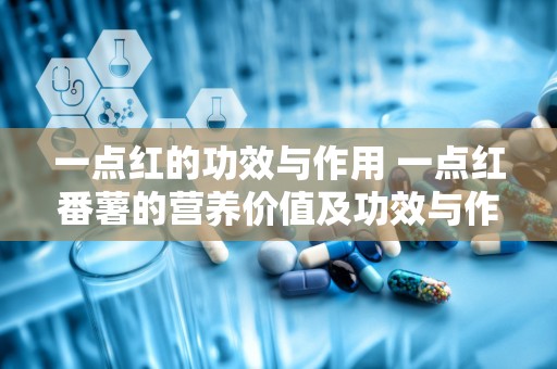 一点红的功效与作用 一点红番薯的营养价值及功效与作用