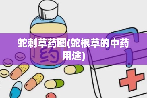 蛇刺草药图(蛇根草的中药用途)