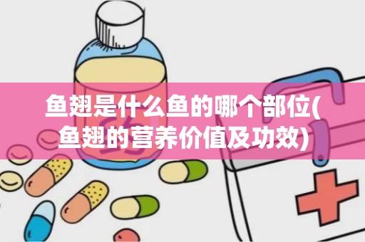 鱼翅是什么鱼的哪个部位(鱼翅的营养价值及功效)