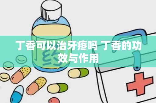 丁香可以治牙疼吗 丁香的功效与作用