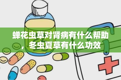 蝉花虫草对肾病有什么帮助，冬虫夏草有什么功效