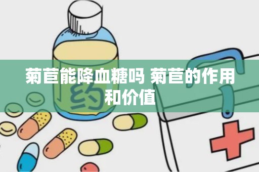 菊苣能降血糖吗 菊苣的作用和价值