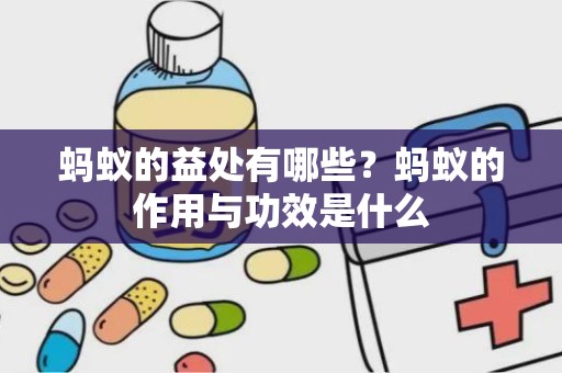 蚂蚁的益处有哪些？蚂蚁的作用与功效是什么