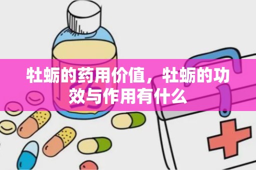 牡蛎的药用价值，牡蛎的功效与作用有什么