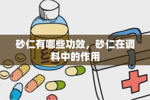 砂仁有哪些功效，砂仁在调料中的作用