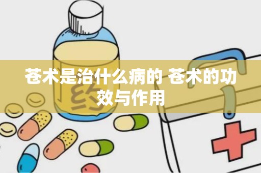 苍术是治什么病的 苍术的功效与作用