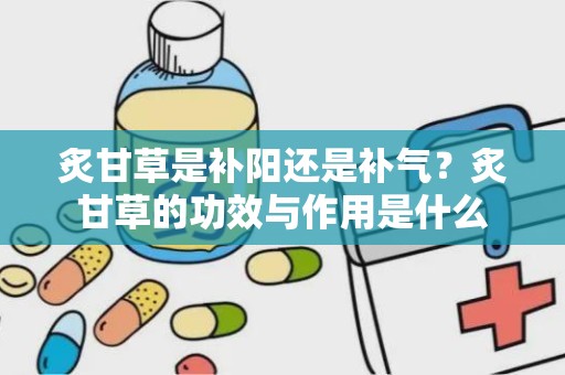 炙甘草是补阳还是补气？炙甘草的功效与作用是什么