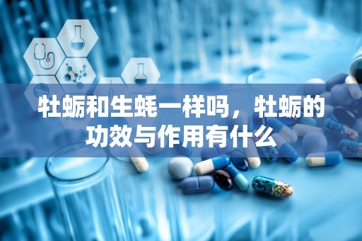 牡蛎和生蚝一样吗，牡蛎的功效与作用有什么