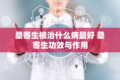 桑寄生根治什么病最好 桑寄生功效与作用