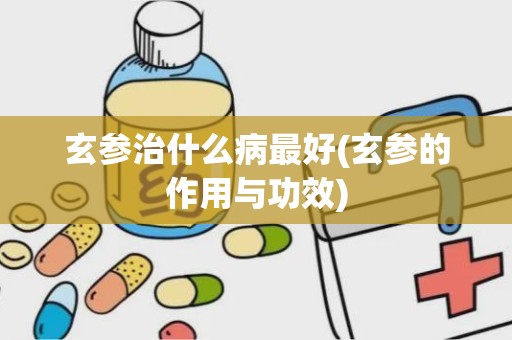 玄参治什么病最好(玄参的作用与功效)