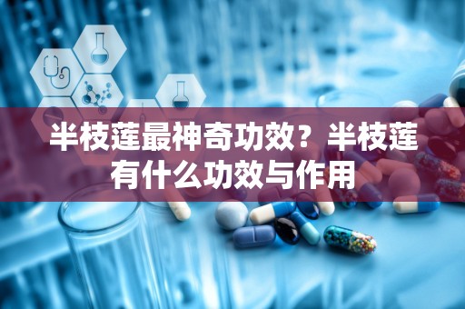 半枝莲最神奇功效？半枝莲有什么功效与作用