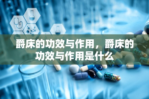 爵床的功效与作用，爵床的功效与作用是什么