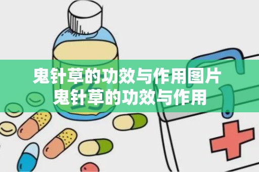 鬼针草的功效与作用图片 鬼针草的功效与作用