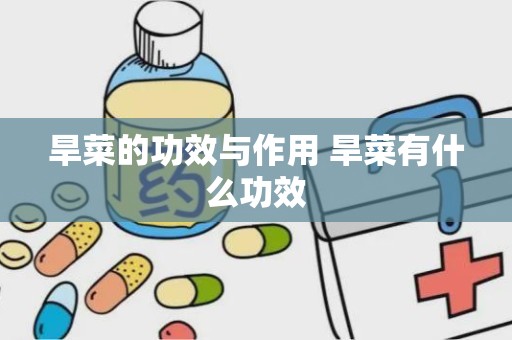 旱菜的功效与作用 旱菜有什么功效