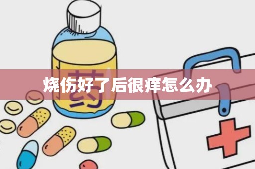 烧伤好了后很痒怎么办