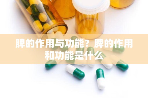 脾的作用与功能？脾的作用和功能是什么