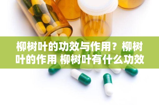 柳树叶的功效与作用？柳树叶的作用 柳树叶有什么功效