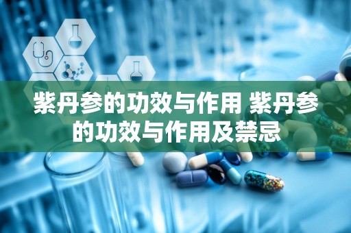 紫丹参的功效与作用 紫丹参的功效与作用及禁忌