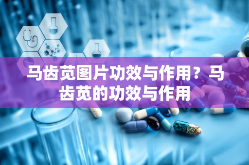 马齿苋图片功效与作用？马齿苋的功效与作用