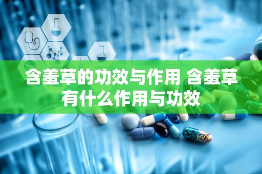 含羞草的功效与作用 含羞草有什么作用与功效