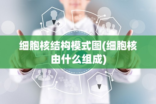 细胞核结构模式图(细胞核由什么组成)