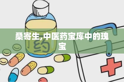 桑寄生,中医药宝库中的瑰宝