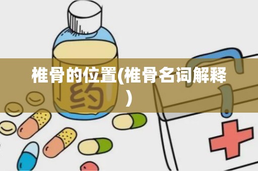 椎骨的位置(椎骨名词解释)