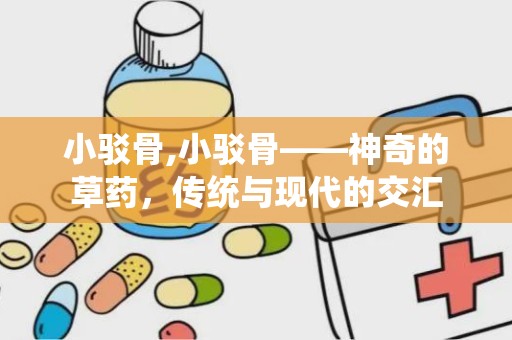 小驳骨,小驳骨——神奇的草药，传统与现代的交汇