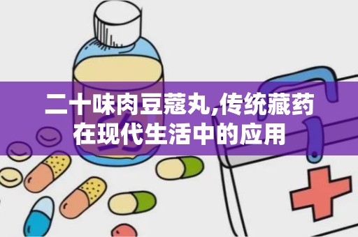 二十味肉豆蔻丸,传统藏药在现代生活中的应用