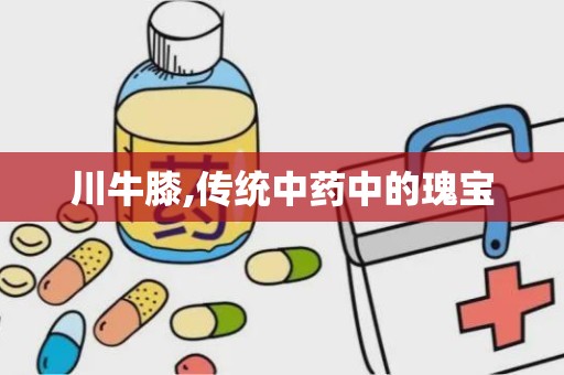 川牛膝,传统中药中的瑰宝