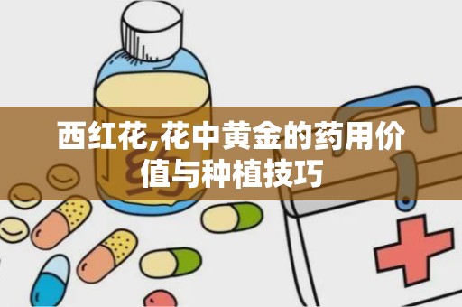 西红花,花中黄金的药用价值与种植技巧