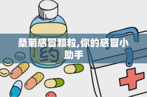 桑菊感冒颗粒,你的感冒小助手