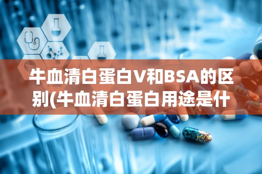 牛血清白蛋白V和BSA的区别(牛血清白蛋白用途是什么)