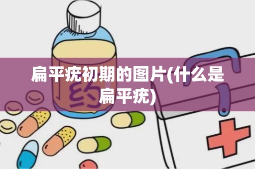 扁平疣初期的图片(什么是扁平疣)