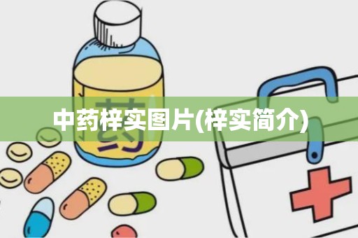 中药梓实图片(梓实简介)