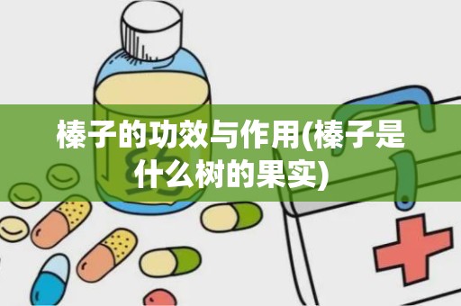 榛子的功效与作用(榛子是什么树的果实)