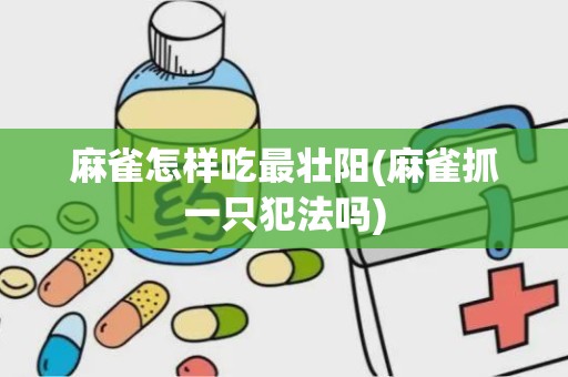 麻雀怎样吃最壮阳(麻雀抓一只犯法吗)