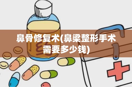 鼻骨修复术(鼻梁整形手术需要多少钱)