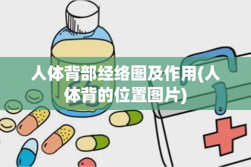 人体背部经络图及作用(人体背的位置图片)