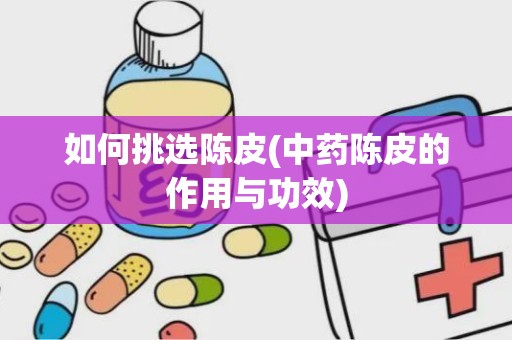 如何挑选陈皮(中药陈皮的作用与功效)