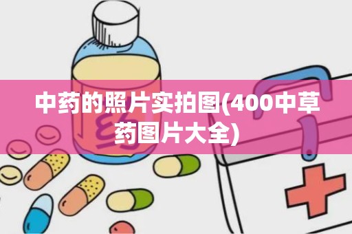 中药的照片实拍图(400中草药图片大全)