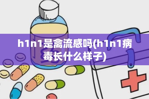 h1n1是禽流感吗(h1n1病毒长什么样子)