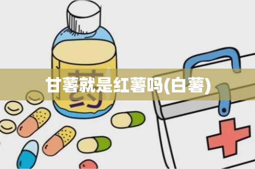 甘薯就是红薯吗(白薯)